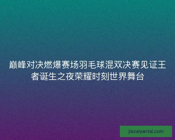 巅峰对决燃爆赛场羽毛球混双决赛见证王者诞生之夜荣耀时刻世界舞台