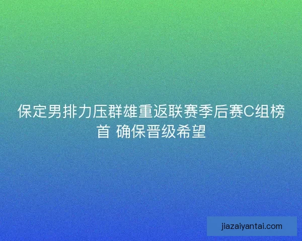 保定男排力压群雄重返联赛季后赛C组榜首 确保晋级希望
