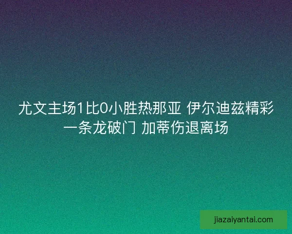尤文主场1比0小胜热那亚 伊尔迪兹精彩一条龙破门 加蒂伤退离场 尤文主场1比0小胜热那亚 伊尔迪兹精彩一条龙破门 加蒂伤退离场